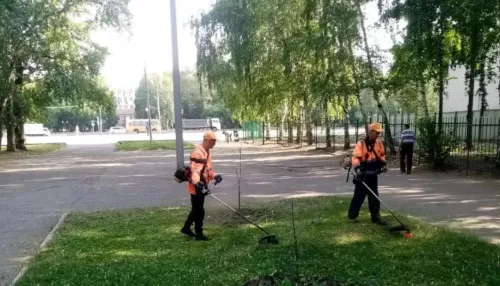 Наведение чистоты: дорожники убирают пыль и косят траву на улицах Барнаула