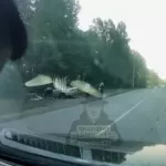 Водитель погиб в жестком ДТП в селе Павловск Алтайского края