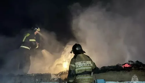 Пламя охватило 100 квадратов садового домика в алтайском СНТ посреди ночи