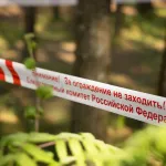 Упавшее дерево насмерть придавило семилетнего ребенка в Тверской области