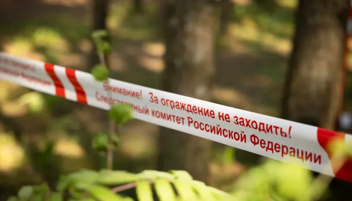 Упавшее дерево насмерть придавило семилетнего ребенка в Тверской области