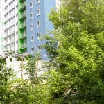 Антивандальный дом вместо зелени: в Барнауле застроят забытый участок на Потоке