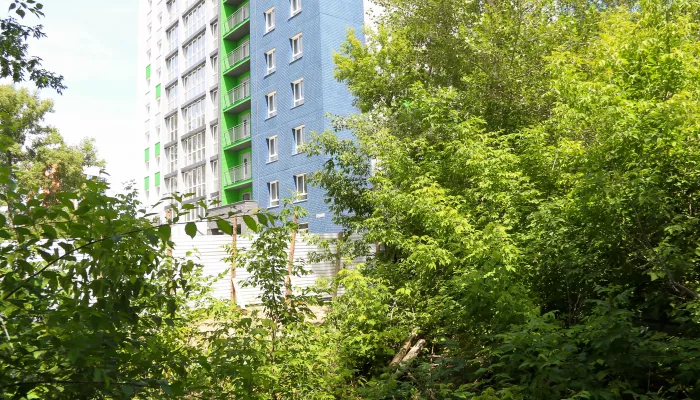 Антивандальный дом вместо зелени: в Барнауле застроят забытый участок на Потоке