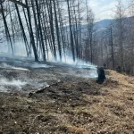 В Республике Алтай у владельца земли отсудили расходы на тушение лесного пожара