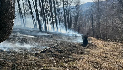 В Республике Алтай у владельца земли отсудили расходы на тушение лесного пожара