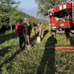 В Улаганском районе Республики Алтай действуют два лесных пожара