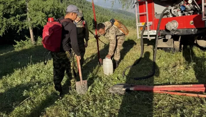 В Улаганском районе Республики Алтай действуют два лесных пожара