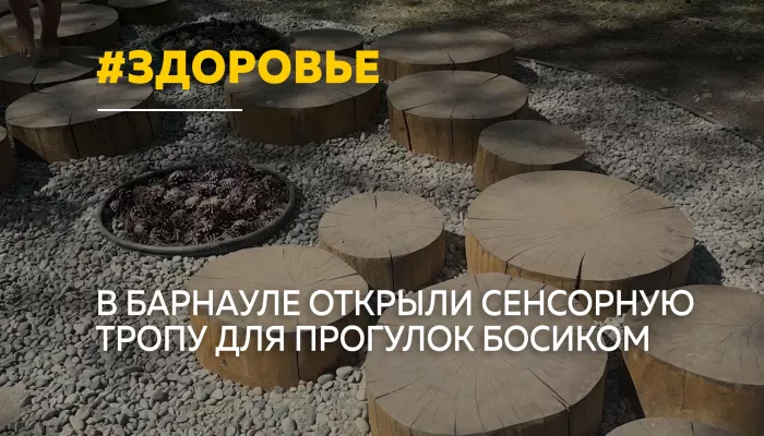 Босиком к здоровью: в парке Изумрудный открыли сенсорную тропу