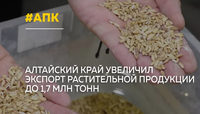 Алтайский край в полтора раза увеличил экспорт растительной продукции