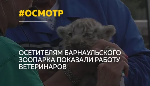 В барнаульском зоопарке впервые провели открытый ветеринарный осмотр животных
