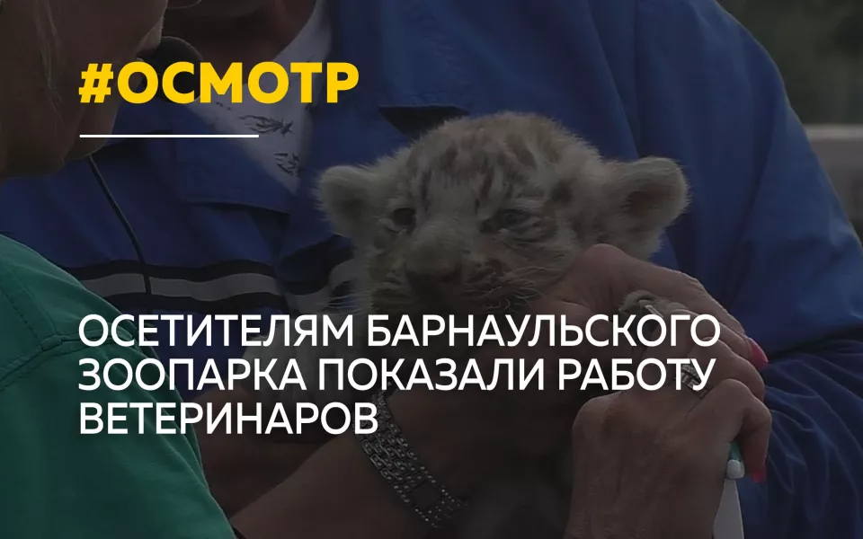 В барнаульском зоопарке впервые провели открытый ветеринарный осмотр животных
