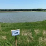 Мужчина утонул в озере Малое Пресное в Алтайском крае