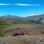 В Сайлюгемском нацпарке показали скоротечное высокогорное лето. Фото