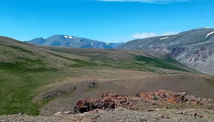 В Сайлюгемском нацпарке показали скоротечное высокогорное лето. Фото
