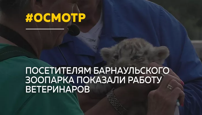 В барнаульском зоопарке впервые провели открытый ветеринарный осмотр животных