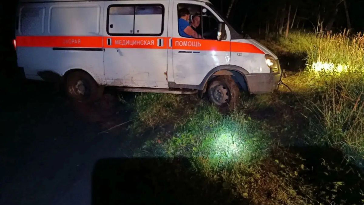 Спасатели помогли скорой помощи
