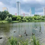 Субботник провели на озере по улице Гущина в Барнауле