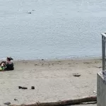 Барнаульцам напомнили правила безопасного отдыха у воды