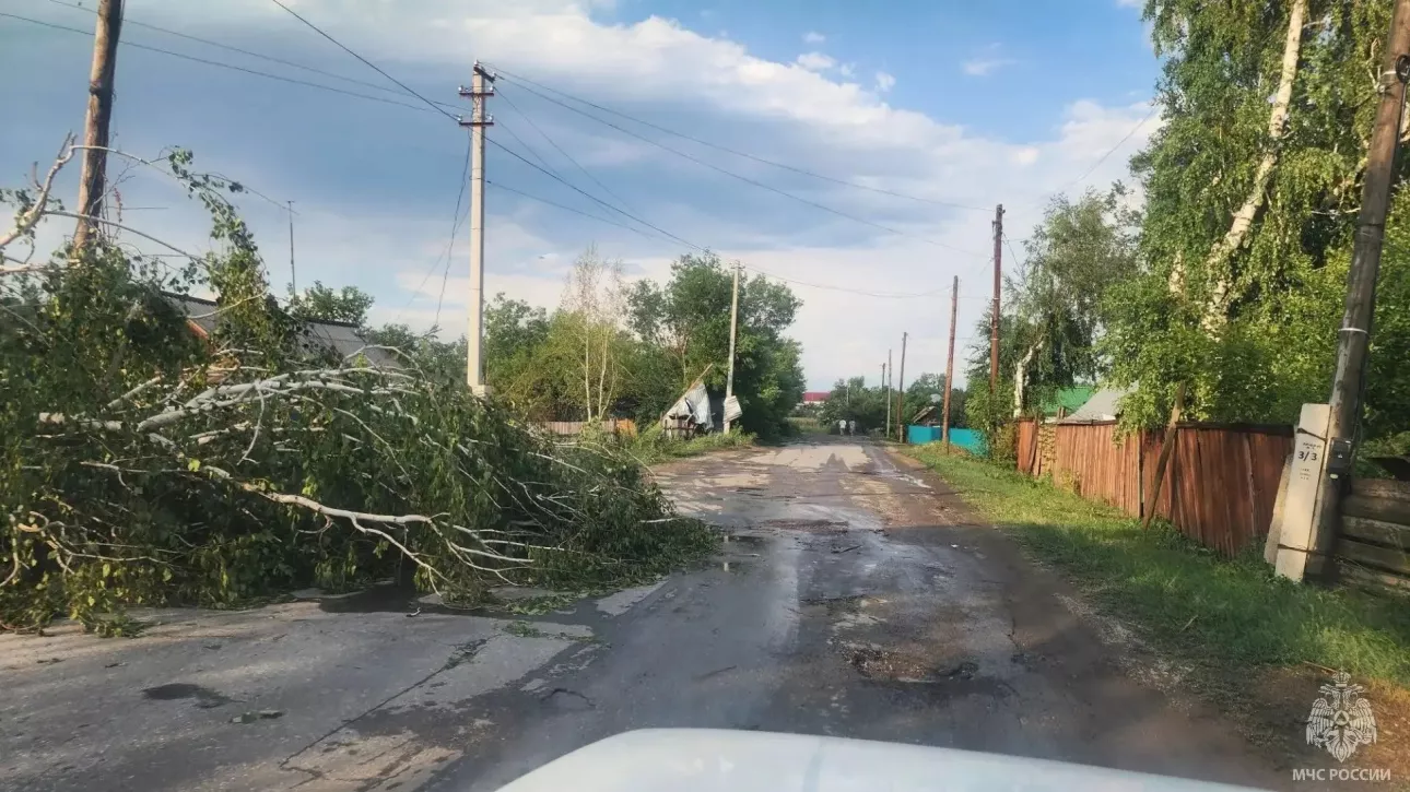 Непогода оставила без света более шести тысяч домов в Алтайском крае