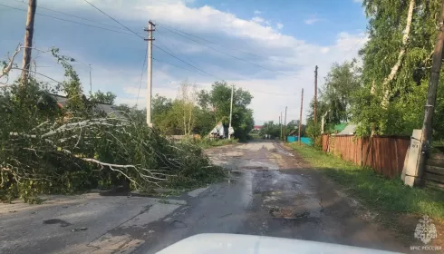 Непогода оставила без света более шести тысяч домов в Алтайском крае