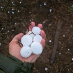 Крупный град и упавшие деревья: в Республике Алтай засняли последствия непогоды. Фото