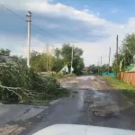 Торнадо пришел к нам: как выглядит разнесенный ураганом Краснощековский район. Фото