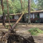 Детей эвакуировали из детского лагеря под Рубцовском из-за урагана