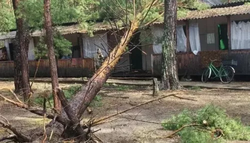 Детей эвакуировали из детского лагеря под Рубцовском из-за урагана