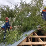 Более 150 зданий повреждено в Краснощековском районе после урагана. Фото