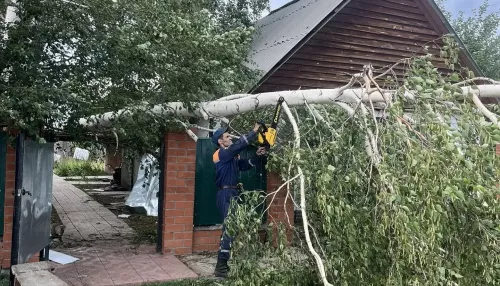 В Краснощековском районе продолжают разбирать завалы после урагана. Фото