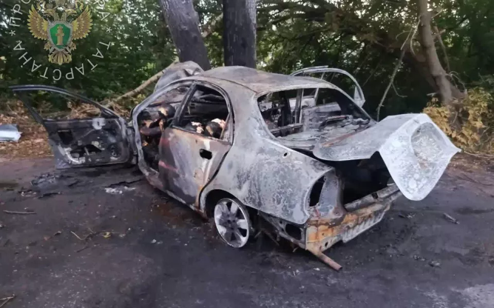 Шесть подростков сгорели заживо в автомобиле в Татарстане