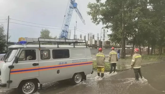 Упавшие деревья и подтопленные дома: в Барнауле ликвидируют последствия непогоды