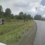 Пьяный водитель без прав вылетел с трассы и перевернулся в Республике Алтай