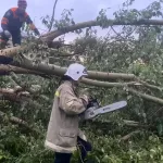 Прошедший по Барнаулу ураган повредил 20 авто и оставил девять домов без газа