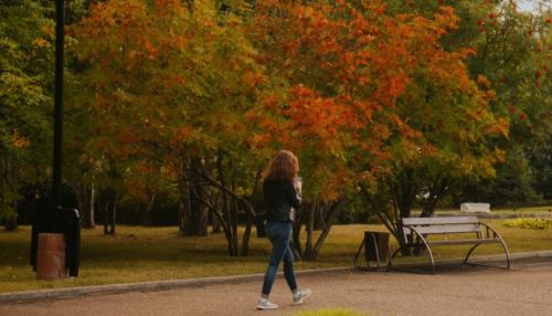 Начало золотой осени – в фоторепортаже ТОЛКа