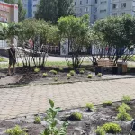 Сиреневый бульвар в Барнауле преображается: высадят сотни растений и новые деревья