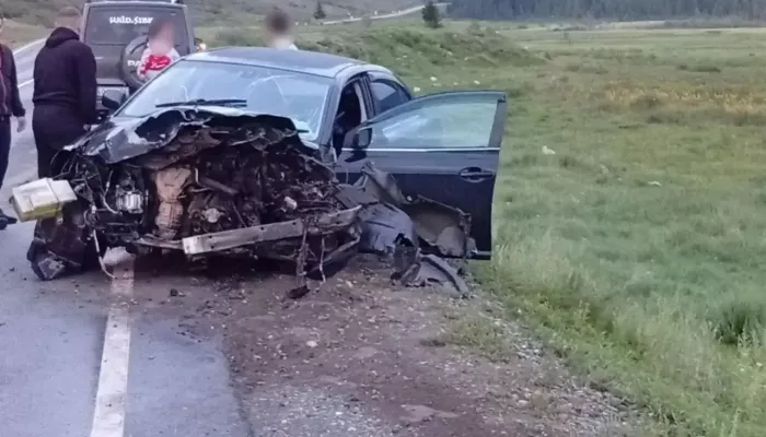 Два человека погибли и четыре пострадали в ДТП с пьяным водителем в Республике Алтай