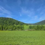 Республика Алтай вернет 244 земельных участка, переданных Томскому госуниверситету