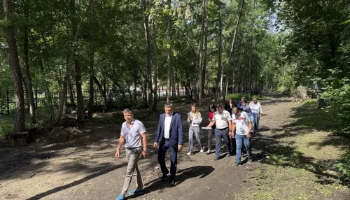 Скоро будут изменения: стартует благоустройство зеленой зоны у АГИК в Барнауле