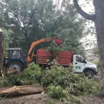 В Барнауле продолжают ликвидировать последствия ураганного ветра