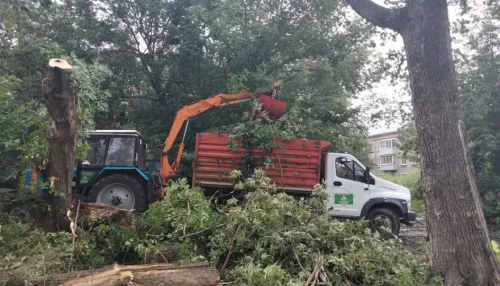 В Барнауле продолжают ликвидировать последствия ураганного ветра