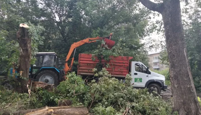 В Барнауле продолжают ликвидировать последствия ураганного ветра