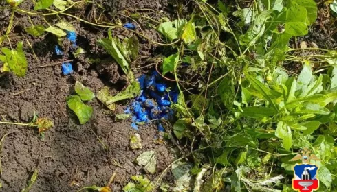 Наркокурьер из Новосибирской области ранил полицейского при задержании в Барнауле