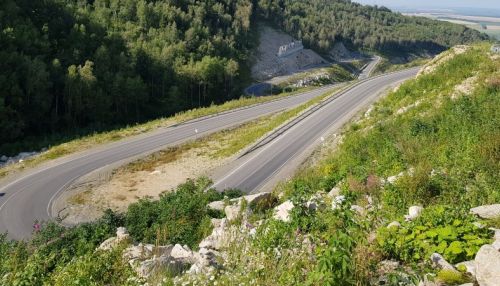 Московский журналист сравнил Алтайский край с Аргентиной