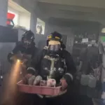 Пожар на ферме в Курганской области погубил 2,5 тысячи поросят