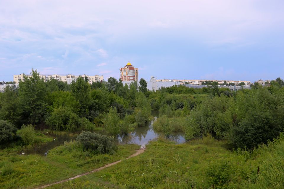 Овраг на территории парка за "Европой"