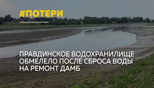 Правдинское водохранилище обмелело: рыба гибнет, ремонт дамб не начался