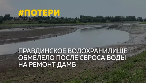 Правдинское водохранилище обмелело: рыба гибнет, ремонт дамб не начался