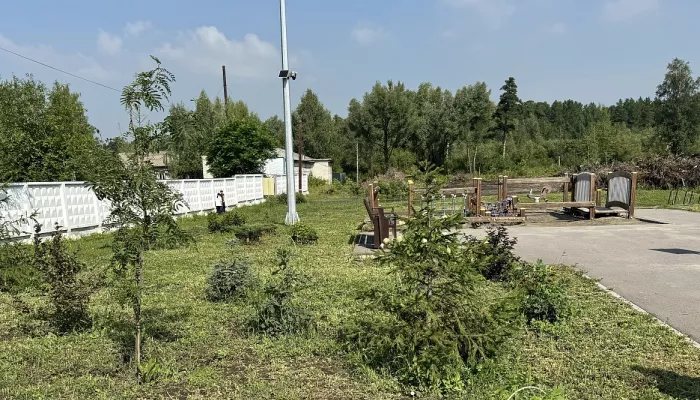 Совместная работа власти и жителей: как меняется сквер на Кутузова в Барнауле
