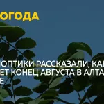 Жара, ливни и грозы: каким будет конец лета в Алтайском крае
